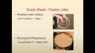 Process for recovery of phosphorus P from solid manure [upl. by Bohlen294]