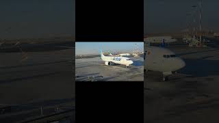 Flydubai at Kuwait International Airport approaching gate 21 [upl. by Cirenoj246]