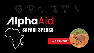 Alpha Aid Safari Speak Series African Warthog [upl. by Sebastien]