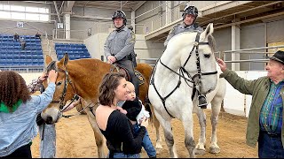 Pennsylvania State Police Mounted Patrol Unit at the Pa Farm Show 2024 [upl. by Llenart78]