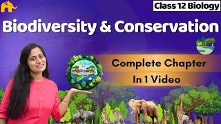 Biodiversity and Conservation Class 12 Biology One shot  CBSE NEET  NCERT Chapter [upl. by Nivaj]