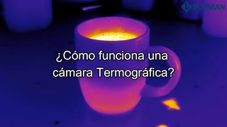 ¿Cómo funciona una cámara termográfica Video 9 FLIR  BOHMAN [upl. by Nauqet]