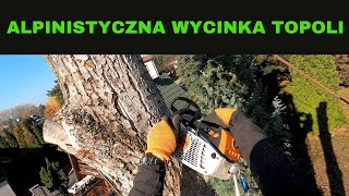 ALPINISTYCZNA WYCINKA TOPOLI  Przytrzaśnięty palec  Błąd przy opuszczaniu urobku  WYCINKARZE [upl. by Stempien]