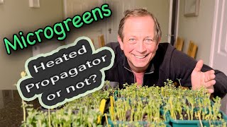 Do you need a heated propagator  Results of the 1st Microgreens trial [upl. by Nevaj634]