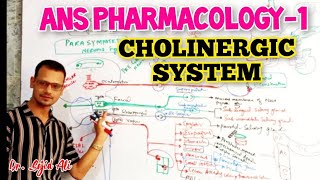 Cholinergic System  ANS Pharmacology [upl. by Kimitri535]