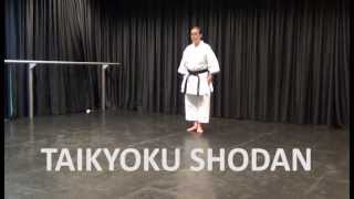 Kata Taikyoku Shodan  Online Karate tutorial [upl. by Serg]