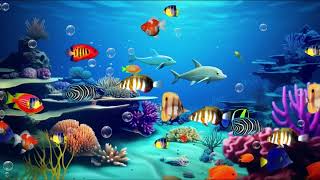 Lullaby for Babies to go to Sleep Mozart with Fish Sleep Music for Babies by Real Lullaby Music [upl. by Brodie417]