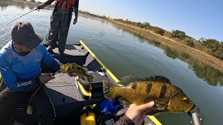 MELHOR UM DIA RUIM DE PESCA QUE UM DIA BOM DE SERVIÇO Pescaria em CardosoSP [upl. by Bigelow]