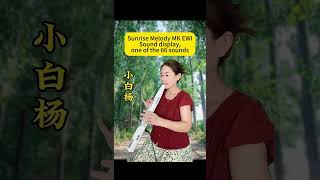 Sunrise Melody MK EWI sound display ewi sunrisemelody digitalsaxophone electricflute MK [upl. by Notserc]