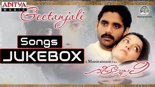 Geetanjali గీతాంజలి  Telugu Movie  Full Songs Jukebox  Nagarjuna Girija [upl. by Uaerraj]