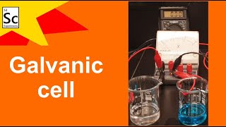 Galvanic cell  CHEMISTRY EXPERIMENTS [upl. by Noscire249]