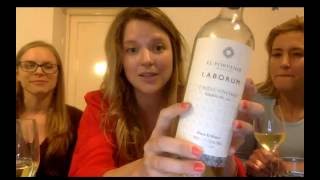 South American wine tasting Torrontes Sauvignon Blanc Malbec Carignan Sparkling [upl. by Dan]