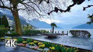 Switzerland 🇨🇭 Weggis tranquillity and relaxation in front of a beautiful lake amp mountain panorama [upl. by Brewer]