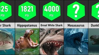 Most Powerful Bites In Animal Kingdom  Comparison [upl. by Ostler]