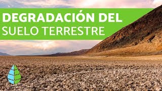 Degradación del suelo terrestre  CAUSAS Y CONSECUENCIAS [upl. by Salisbarry836]