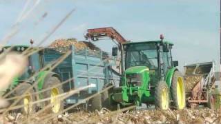 Harvest onionsRécolte oignons à la Ferme de la Motte [upl. by Enelyam815]