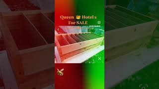 8 rooms queen hotel s to rear queen bees please text 8656040841 located in knoxville TN [upl. by Oruntha]