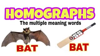 HOMOGRAPHS IN ENGLISH Multiple meaning wordsPARTI [upl. by Trish198]