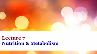 Lecture 7  Nutrition and Metabolism [upl. by Ylsel]