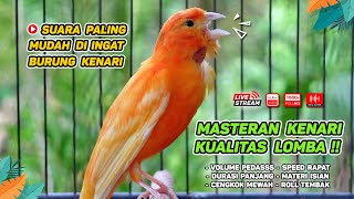 Masteran Kenari PAUD amp Pancingan Kenari MACET BUNYI‼️ Terapi AMPUH Bikin Kenari GACOR Episode 16 [upl. by Ydnamron]