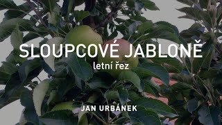 SLOUPCOVÉ JABLONĚ  letní řez [upl. by Wall284]