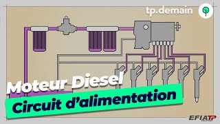 Le circuit dalimentation dun moteur diesel [upl. by Dnalevets]