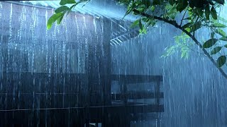 Rain Sounds For Sleeping  995 Minutes Instantly Fall Asleep With Rain And Thunder Sounds At Night [upl. by Shorter]