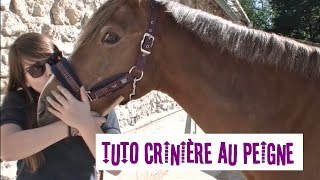 Tuto n°2 Faire une crinière au peigne [upl. by Moclam]