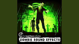 Confused Zombie Sound Effect [upl. by Naghem9]