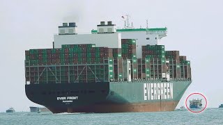 Evergreens Mighty Giant Spotting a 12000 TEU Container Ship in Action [upl. by Charles]