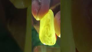 Heliodor Worth 5001 million 🙀 Heliodor gem gemstone naturalgems stone heliodorcrystal [upl. by Happ]