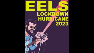 Eels  Live Belfast 23  Friendly GhostLast stop this town [upl. by Nnaytsirk632]