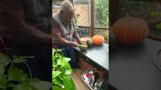 The Callaloo man cutting my very first homegrown watermelon 🍉 [upl. by Aihtnic]