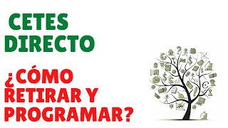 ¿Cómo retirar yo cómo programar retiros en Cetes Directo Tiempos de retiro y depósito​ [upl. by Atnoek]