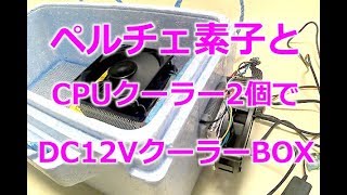 【DC12VクーラーBOX】ペルチェ素子とCPUクーラーで自作保冷ボックス作ってみた！ [upl. by Nancy]