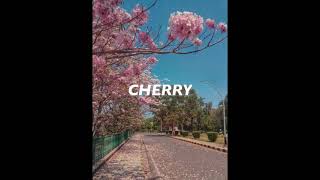 Cherry  Harry Styles  Cover [upl. by Anileh331]