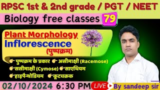 Inflorescence  पुष्पक्रम  Types of Inflorescence  RPSC 1st grade  RPSC 2nd grade  PGT  NEET [upl. by Ahsasal]