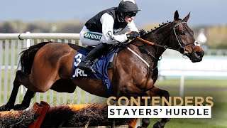 2023 PADDY POWER STAYERS HURDLE CONTENDERS AT THE CHELTENHAM FESTIVAL [upl. by Melony]