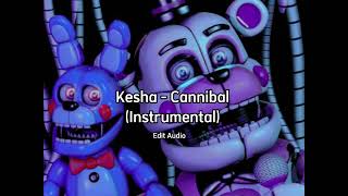 Kesha  Cannibal Instrumental Edit audio [upl. by Waers]