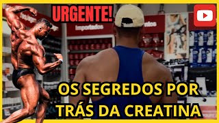 CREATINA  APRENDA ESCOLHER QUAL COMPRAR  BRUNO WENDER [upl. by Lancelot]