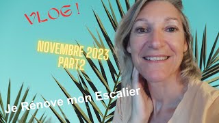 VLOG  Novembre 2023 Part 2 Je rénove mon Escalier baladeet fromage [upl. by Adyl]