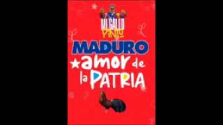 Mi Gallo Pinto Maduro amor de la Patria [upl. by Costin]