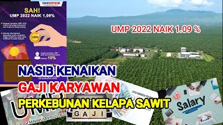 UMP TAHUN 2022 NAIK 109   BAGAIMANA NASIB KENAIKAN GAJI KARYAWAN PERKEBUNAN KELAPA SAWIT [upl. by Attekram]