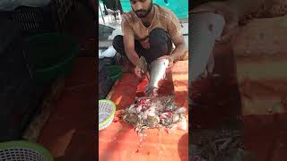 Amazing qatla fish cutting skills  shorts video [upl. by Amek]