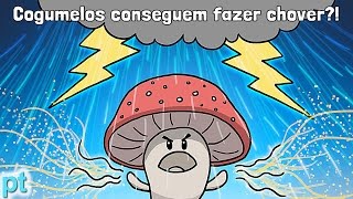 Como cogumelos conseguem fazer chover  Minuto da Terra [upl. by Namrak]