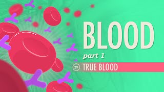 Blood Part 1  True Blood Crash Course Anatomy amp Physiology 29 [upl. by Hunfredo]