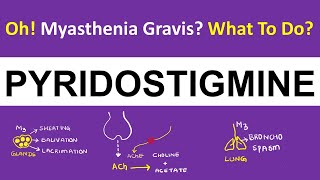 Pharmacology  Pyridostigmine  Myasthenia Gravis  How It Works [upl. by Casie]