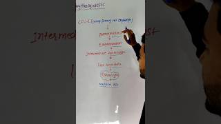 Reticulocyte  Precursors of Matured RBC  Haematology trending ytshorts paramedical [upl. by Follmer]