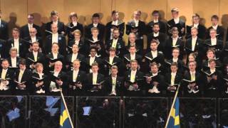 Saltarelle  Stockholms Studentångares Jubileum 2015 [upl. by Vachil]