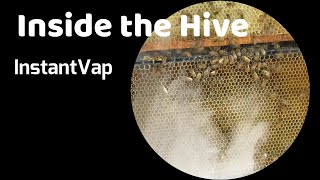 Ep 95 Inside a Beehive Being Vaporized With Oxalic Acid Using An InstantVap [upl. by Euqitsym311]